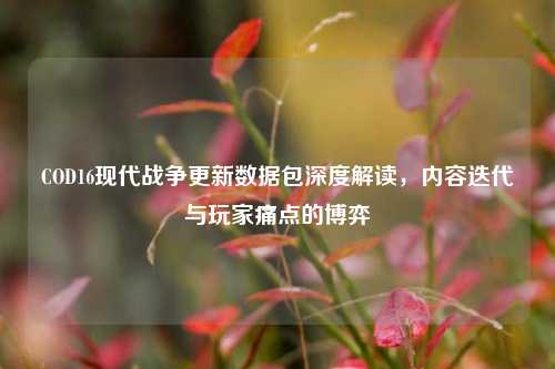 COD16现代战争更新数据包深度解读，内容迭代与玩家痛点的博弈