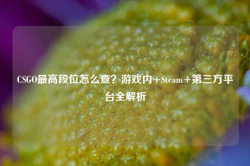 CSGO更高段位怎么查？游戏内+Steam+第三方平台全解析
