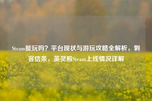 Steam能玩吗？平台现状与游玩攻略全解析，刺客信条，英灵殿Steam上线情况详解
