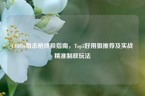 COD16狙击枪终极指南，Top5好用狙推荐及实战精准制敌玩法