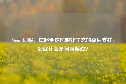 Steam伺服，撑起全球PC游戏生态的幕后支柱，到底什么是伺服游戏？