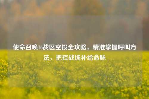 使命召唤16战区空投全攻略，精准掌握呼叫     ，把控战场补给命脉