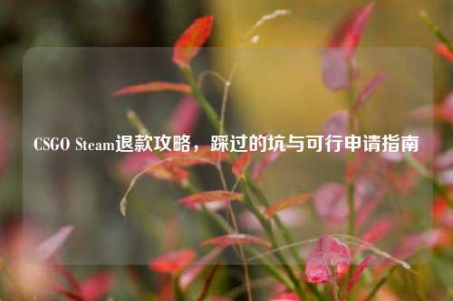 CSGO Steam退款攻略，踩过的坑与可行申请指南