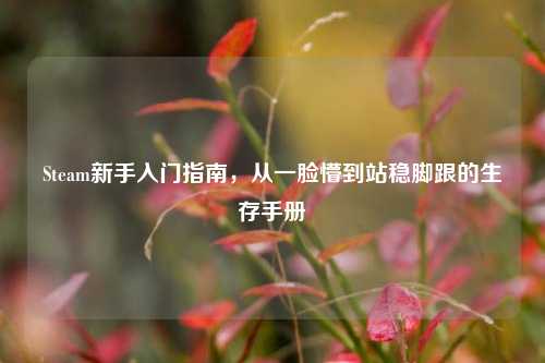 Steam新手入门指南，从一脸懵到站稳脚跟的生存手册