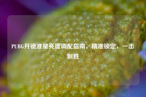 PUBG开镜准星亮度调配指南，精准锁定，一击制胜