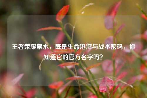 王者荣耀泉水，既是生命港湾与战术密码，你知道它的官方名字吗？