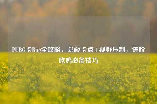 PUBG卡Bug全攻略，隐蔽卡点+视野压制，进阶吃鸡必备技巧