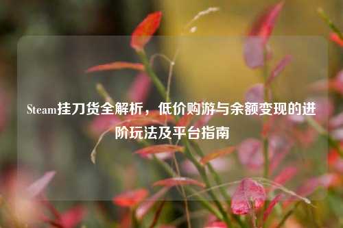 Steam挂刀货全解析，低价购游与余额变现的进阶玩法及平台指南
