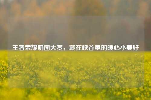 王者荣耀奶图大赏，藏在峡谷里的暖心小美好