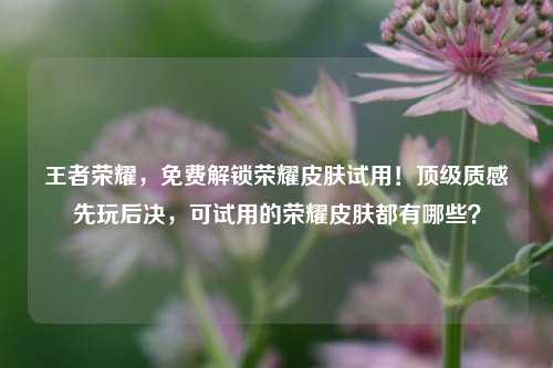 王者荣耀，免费解锁荣耀皮肤试用！顶级质感先玩后决，可试用的荣耀皮肤都有哪些？