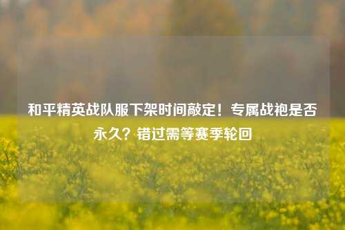 和平精英战队服下架时间敲定！专属战袍是否永久？错过需等赛季轮回