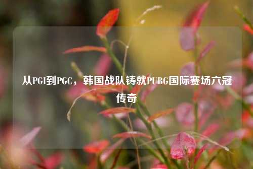 从PGI到PGC，韩国战队铸就PUBG国际赛场六冠传奇