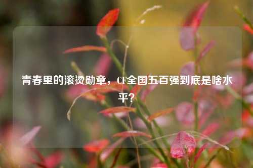 青春里的滚烫勋章，CF全国五百强到底是啥水平？