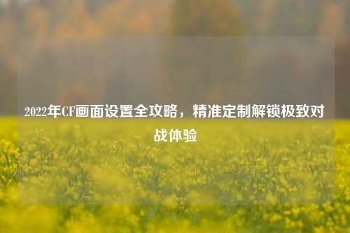 2022年CF画面设置全攻略，精准定制解锁极致对战体验