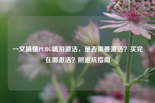 一文搞懂PUBG端游激活，是否需要激活？买完在哪激活？附避坑指南