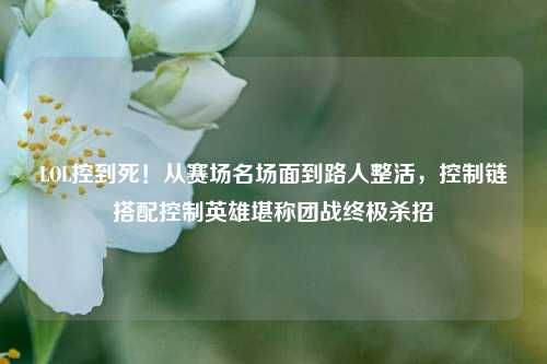 LOL控到死！从赛场名场面到路人整活，控制链搭配控制英雄堪称团战终极杀招