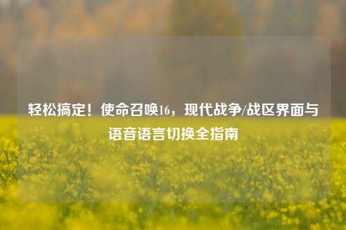 轻松搞定！使命召唤16，现代战争/战区界面与语音语言切换全指南