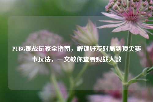 PUBG观战玩家全指南，解锁好友对局到顶尖赛事玩法，一文教你查看观战人数