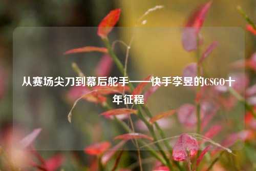 从赛场尖刀到幕后舵手——快手李昱的CSGO十年征程