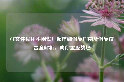 CF文件损坏不用慌！超详细修复指南及修复位置全解析，助你重返战场