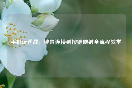手机玩逆战，键鼠连接到按键映射全流程教学