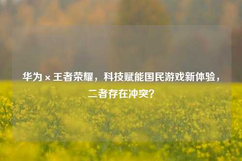 华为×王者荣耀，科技赋能国民游戏新体验，二者存在冲突？