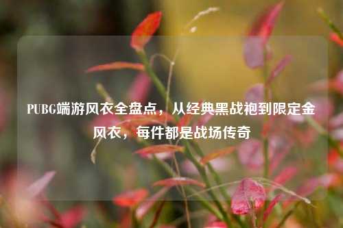 PUBG端游风衣全盘点，从经典黑战袍到限定金风衣，每件都是战场传奇
