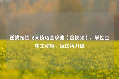 逆战宠物飞天技巧全攻略（含视频），掌控空中主动权，玩法再升级