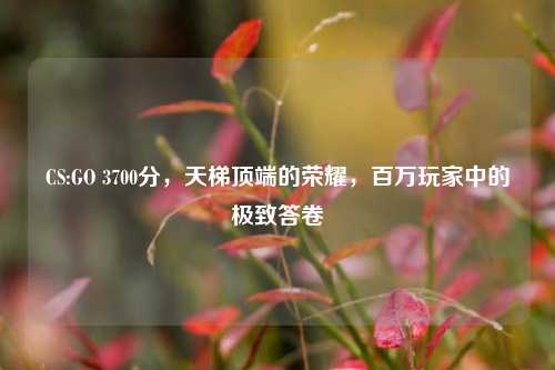 CS:GO 3700分，天梯顶端的荣耀，百万玩家中的极致答卷