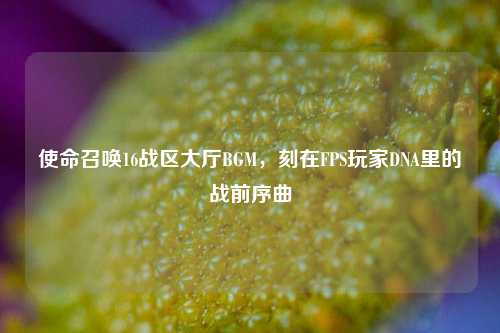 使命召唤16战区大厅BGM，刻在FPS玩家DNA里的战前序曲