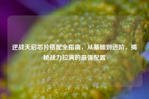逆战天启芯片搭配全指南，从基础到进阶，揭秘战力拉满的最强配置