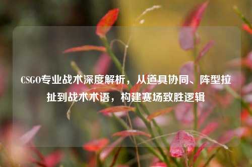 CSGO专业战术深度解析，从道具协同、阵型拉扯到战术术语，构建赛场致胜逻辑