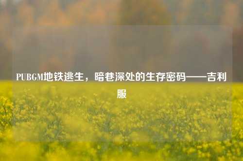 PUBGM地铁逃生，暗巷深处的生存密码——吉利服