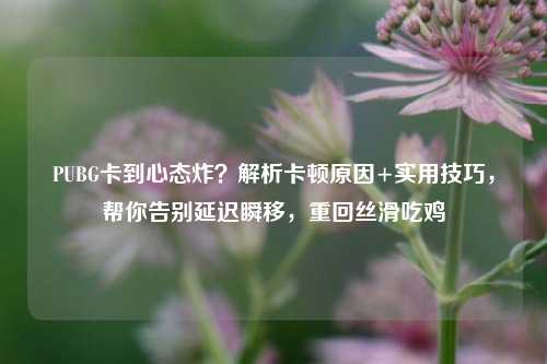 PUBG卡到心态炸？解析卡顿原因+实用技巧，帮你告别延迟瞬移，重回丝滑吃鸡