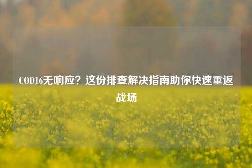COD16无响应？这份排查解决指南助你快速重返战场