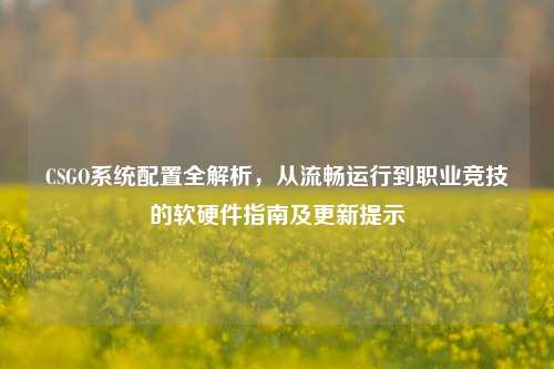 CSGO系统配置全解析，从流畅运行到职业竞技的软硬件指南及更新提示
