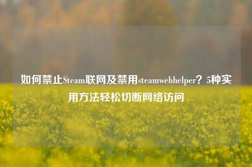如何禁止Steam联网及禁用steamwebhelper？5种实用     轻松切断     访问