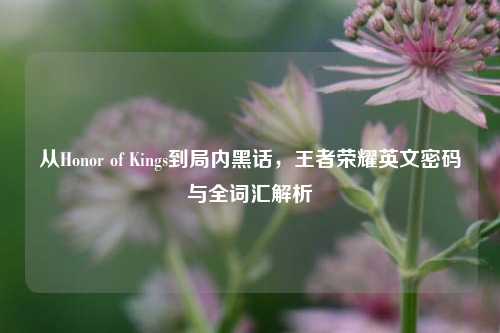 从Honor of Kings到局内黑话，王者荣耀英文密码与全词汇解析