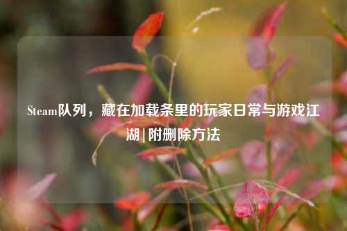 Steam队列，藏在加载条里的玩家日常与游戏江湖|附删除     