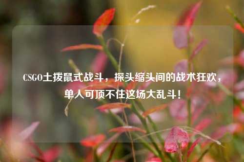 CSGO土拨鼠式战斗，探头缩头间的战术狂欢，单人可顶不住这场大乱斗！