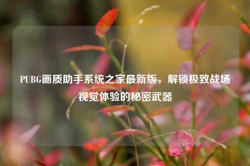 PUBG画质助手系统之家最新版，解锁极致战场视觉体验的秘密武器