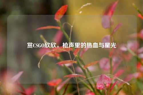 赏CSGO欣欣，枪声里的热血与星光