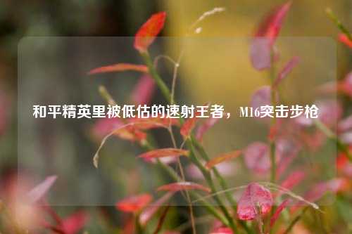 和平精英里被低估的速射王者，M16突击步枪