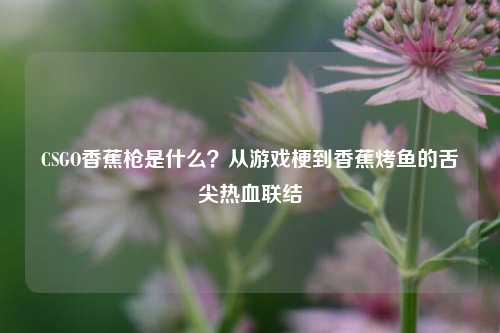 CSGO香蕉枪是什么？从游戏梗到香蕉烤鱼的舌尖热血联结