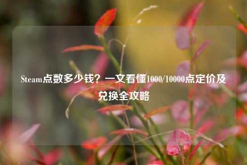 Steam点数多少钱？一文看懂1000/10000点定价及兑换全攻略