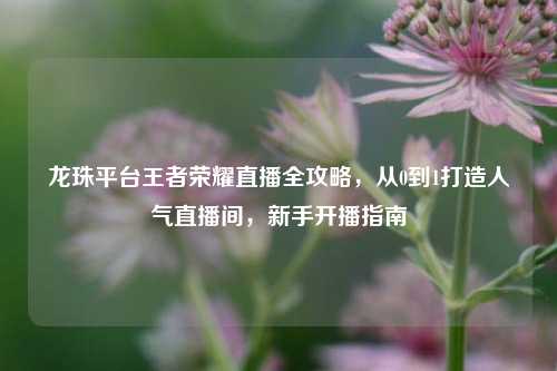龙珠平台王者荣耀直播全攻略，从0到1打造人气直播间，新手开播指南
