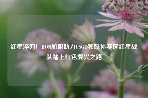 红星淬刃！BON加盟助力CSGO独联体赛区红星战队踏上红色复兴之路