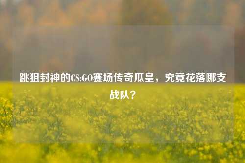 跳狙封神的CS:GO赛场传奇瓜皇，究竟花落哪支战队？