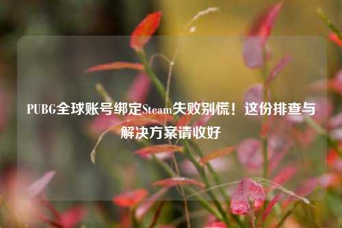PUBG全球账号绑定Steam失败别慌！这份排查与解决方案请收好