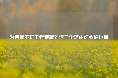 为何我不玩王者荣耀？这三个理由你或许也懂